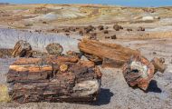 Arizona, Northcentral-Eastern - Petrified Forest National Park 05.JPG