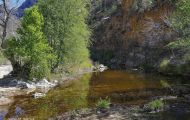 Arizona, Southeast - Tucson   Sabino Canyon 06.JPG