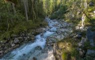 Bayern, Oberbayern - Ramsau bei Berchtesgaden  Hintersee, Zauberwald 04.JPG