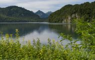 Bayern, Schwaben - Schwangau  Alpsee 04.JPG