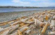 British Columbia, Vancouver Island - Campbell River  Quadra Island 02.JPG