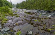 British Columbia, Vancouver Island - Pacific Rim Highway 01.JPG