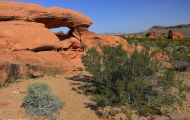 Nevada, South - Valley of Fire State Park 11.JPG