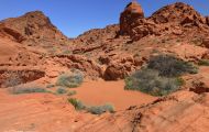 Nevada, South - Valley of Fire State Park 13.JPG