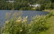 Rheinland-Pfalz, Eifel - Biersdorf am See  Stausee Bitburg 08.JPG