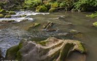 Rheinland-Pfalz, Eifel - Irreller Wasserfälle 07.JPG
