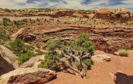 Utah, Canyon Country - Canyonlands National Park 04.JPG