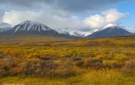 Yukon Territorries, Watson Lake - Along Haines Highway 07.JPG