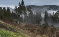 07 Baden-Württemberg, Schwarzwald - Schwarzwaldhochstrasse 07.JPG