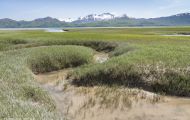 Alaska, Southwest - Katmai National Park & Preserve 15.JPG