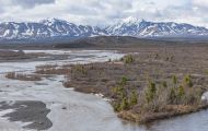 Alaska,Interior - Denali National Park 02.JPG