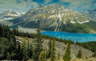Alberta, Canadian Rockies - Icefields Parkway  Hwy 93, Peyto Lake 03.JPG