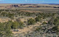 Arizona, Northcentral-Eastern - Cameron  Little Colorado River Gorge 01.JPG
