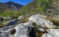 Arizona, Southeast - Tucson   Sabino Canyon 02.JPG