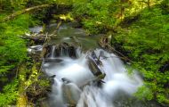 British Columbia, Vancouver Island - Campbell River  Strathcona Provicial Park 05.JPG