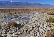 Leben im Death Valley - Landschaft entlang des Devil's Speedway_.JPG