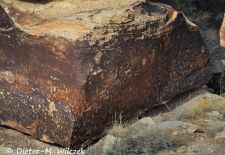 Nachrichten auf Stein im Westen der USA - Newspaper Rock, Petrified Forest NP.JPG