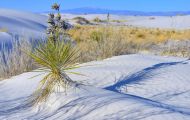 New Mexico, Southeast - White Sands National Monument 04.JPG