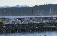 Städte, Kanada - British Columbia  Campbell River - Town Centre 10.JPG