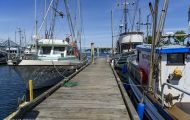 Städte, Kanada - British Columbia  Nanaimo - Fishermens Wharf 06.JPG