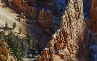 Utah, Canyon Country - Cedar Breaks National Monument 13.JPG