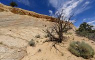Utah, Canyon Country - Escalante Area 04.JPG