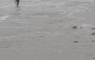 Westflandern, Blankenberge - Belgische Küste 07.JPG