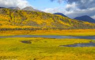 Yukon Territorries, Watson Lake - Along Haines Highway 11.JPG