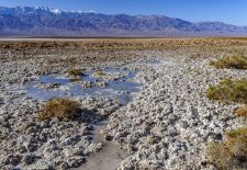 Landschaft entlang des Devil's Speedway