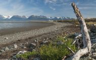 Alaska, Southcentral - Homer 01.JPG