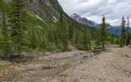 Alberta, Canadian Rockies - Jasper Area  Mt. Edith Cavell Road 03.JPG