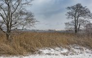 Bayern, Oberbayern - Chiemsee 06.JPG