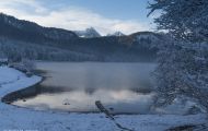 Bayern, Schwaben - Schwangau  Alpsee 05.JPG