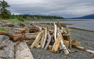 British Columbia, Vancouver Island - Campbell River  Tyee Point 03.JPG