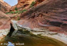 Naturwunder aus Stein im Westen der USA - Red Cliffs Recreation Area, Utah.JPG