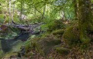 Rheinland-Pfalz, Eifel - Irreller Wasserfälle 11.JPG