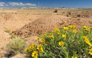 Utah, Canyon Country - Goblin Valley State Park 01.JPG