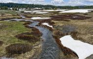 Wyoming, Northwest - Yellowstone National Park 02.JPG
