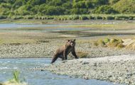 Alaska, Southwest - Katmai National Park & Preserve 04.JPG