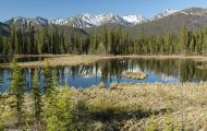 Alaska,Interior - Tok Cutoff Highway 02.JPG