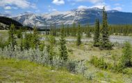 Alberta, Canadian Rockies - Jasper Area  Yellowhead Highway 16, Along the way 06.JPG