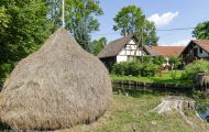 Brandenburg, Lübbenau - Spreewald  Unterwegs auf den Fließen 14.JPG
