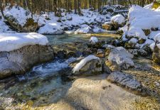 Servus im Bergsteigerdorf Ramsau - Schönheit und Ursprünglichkeit im Zauberwald