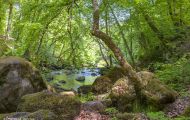 Rheinland-Pfalz, Eifel - Irreller Wasserfälle 12.JPG