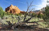 Utah, Canyon Country - Kodachrome Bassin State Park 01.JPG