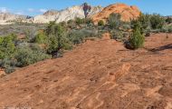 Utah, Dixie - Snow Canyon State Park 08.JPG