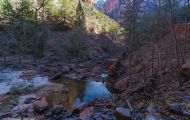 Utah, Dixie - Zion National Park 03.JPG