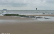 Westflandern, Knokke-Heist - Belgische Küste 09.JPG