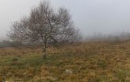 02 Baden-Württemberg, Schwarzwald - Schwarzwaldhochstrasse 02.JPG