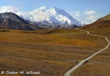 Alaska - Lockruf der Wildnis - Denali Nat'l Park und Mt. Denali.JPG
